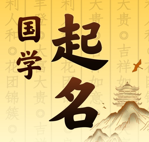 陆丰国学起名 人工起名一对一